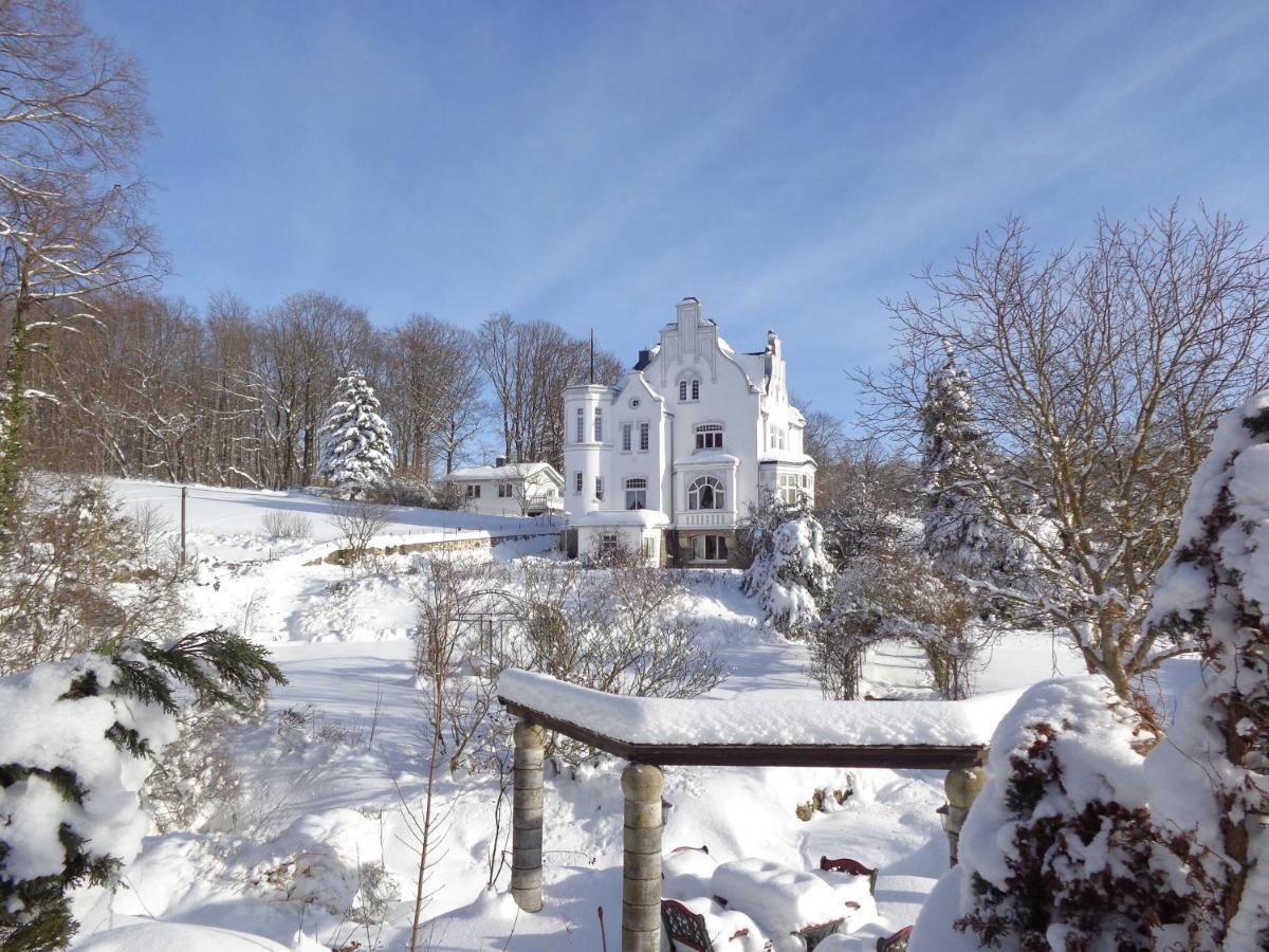 Weissevilla Friedrichsbrunn Fewo Solide Thale Bagian luar foto